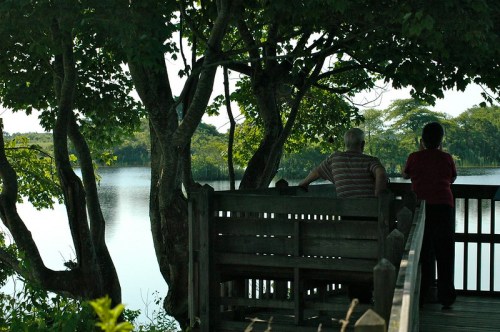 A couple stands on a wooden deck by a serene lake, surrounded by lush trees and reflecting water.
