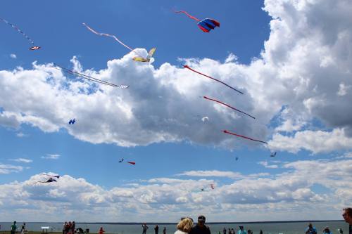 Colorful kites flying against a blue sky with fluffy clouds, with people enjoying the scene below.