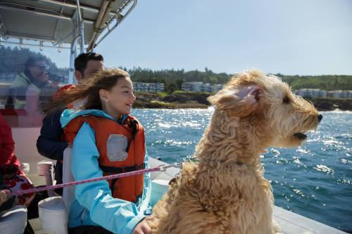 A girl and a dog enjoy a boat ride, with the sun shining and water splashing around them.