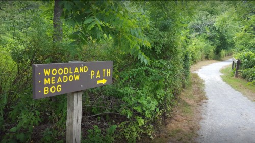 A wooden sign points to trails for Woodland, Meadow, and Bog, with an arrow directing towards Rath, surrounded by greenery.