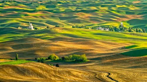 Rolling green hills with gentle waves of light and shadow, dotted with trees and distant buildings under a clear sky.