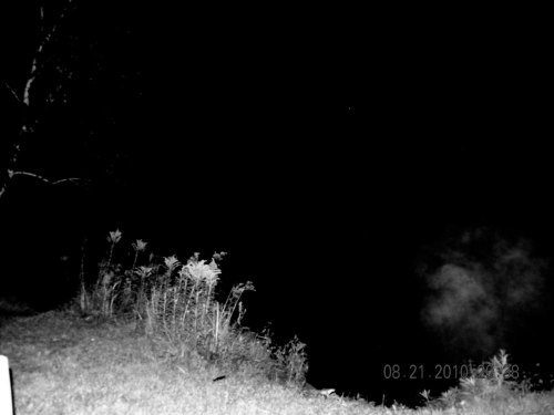 A dark, nighttime scene by a body of water, with faint outlines of plants along the shore.