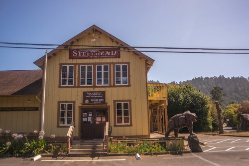 A yellow building with a sign reading "Steelhead" and a bear statue in front, surrounded by trees and blue sky.