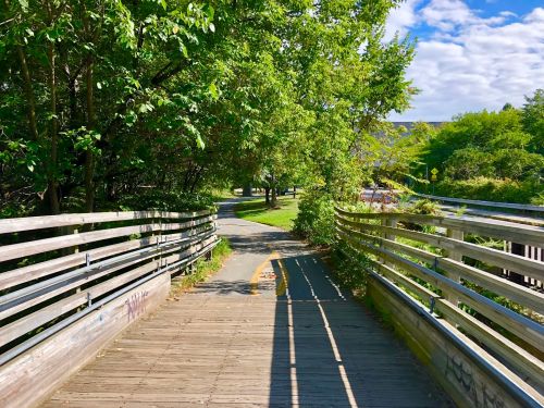 A wooden bridge surrounded by greenery, leading to a path under a blue sky with scattered clouds.