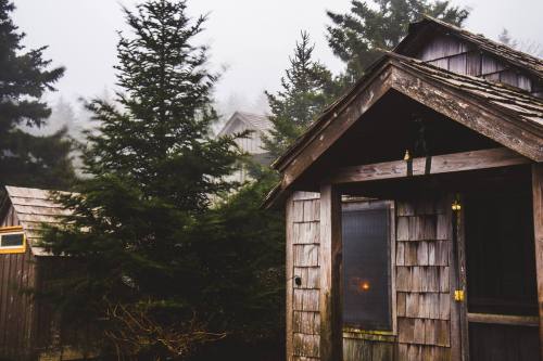 Foggy scene featuring rustic wooden cabins surrounded by tall evergreen trees.