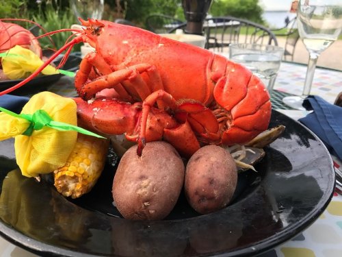 A vibrant red lobster on a black plate, accompanied by corn on the cob and two potatoes, set outdoors.