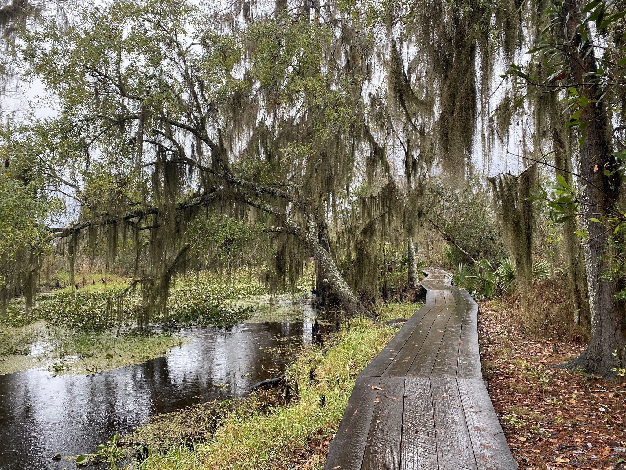 Tribtown'S Incredible Natural Wonders. - u8xoeph