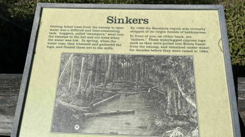Sign about "Sinkers" explaining the logging process in the Barataria region and the history of waterlogged logs.
