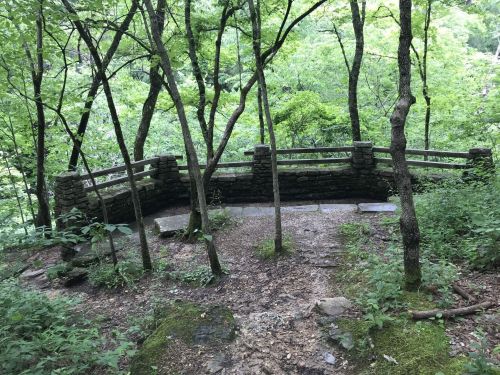 A stone overlook surrounded by lush green trees in a forested area.