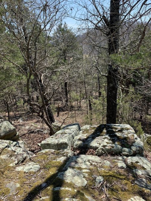 A rocky outcrop covered in moss, overlooking a forested area with trees and distant mountains under a clear blue sky.