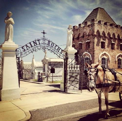 A horse stands by the entrance of a historic cemetery, featuring ornate gates and stone statues under a blue sky.