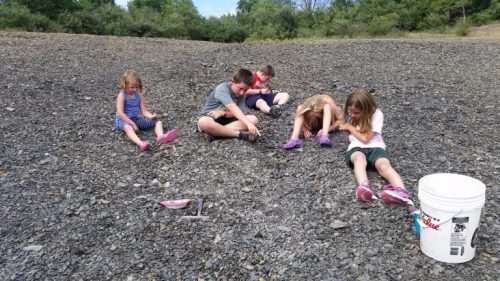 Children sitting on a rocky surface, focused on digging or searching, with a bucket nearby.