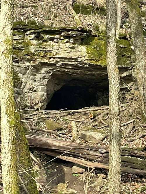 A dark cave entrance surrounded by trees and rocky terrain in a wooded area.