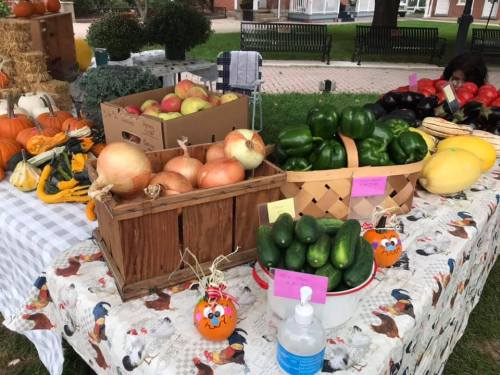 A farmers market table displays various fresh vegetables and fruits, including pumpkins, onions, and peppers.