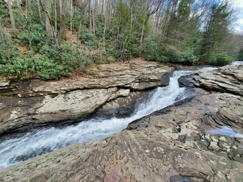 A flowing river cascades over rocky terrain, surrounded by lush green trees and shrubs in a serene natural setting.
