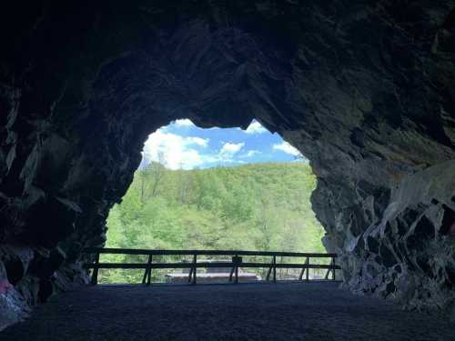 View from inside a cave, showcasing a rocky arch framing a lush green landscape and blue sky beyond.