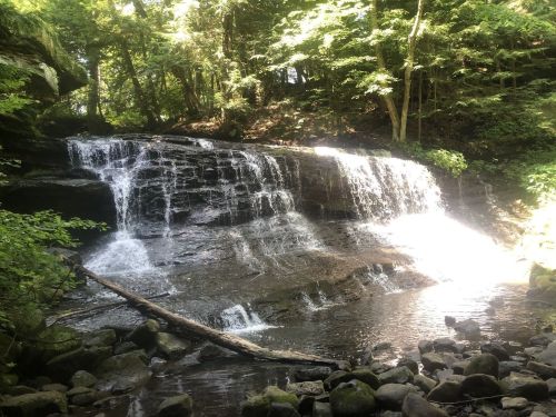 A serene waterfall cascading over rocks, surrounded by lush green trees and a calm pool below.
