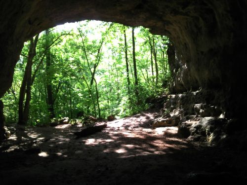A cave opening surrounded by lush green trees and sunlight filtering through, creating a serene natural scene.