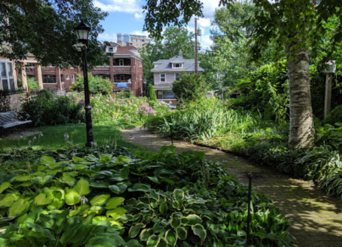 A lush garden path surrounded by greenery and flowers, with houses visible in the background under a blue sky.