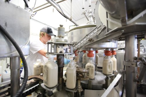 A worker operates machinery in a dairy processing facility, filling bottles with milk.