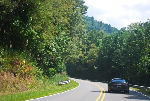 A winding road through lush green trees, with a car driving along the curve under a bright blue sky.
