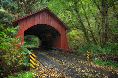 A red covered bridge surrounded by lush green trees and fallen leaves on the ground.