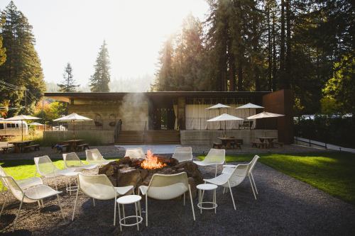 A cozy outdoor seating area with a fire pit surrounded by chairs, set against a backdrop of tall trees and a modern building.