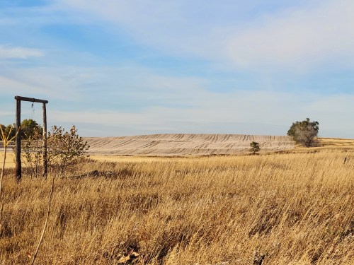 A serene landscape featuring golden grass, a swing set, and a distant tree against a clear blue sky.
