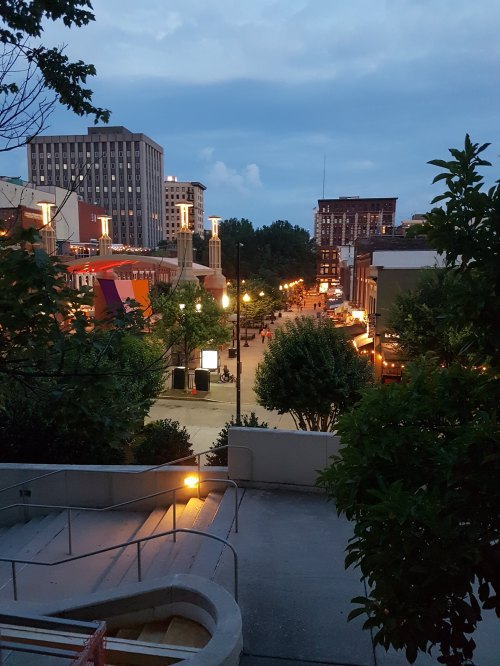A city street at dusk, lined with trees and illuminated by streetlights, with buildings in the background.