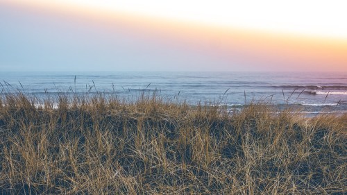 A serene coastal scene with tall grass in the foreground and gentle waves under a colorful sunset sky.