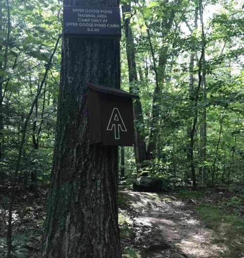 A wooden sign on a tree marks the Upper Goose Pond area, with a mailbox below it in a wooded trail setting.