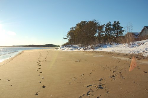 A serene beach scene with footprints in the sand, snow on the shore, and trees in the background under a clear blue sky.