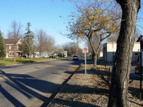 A quiet street lined with trees and houses, featuring a no parking sign and clear blue skies.