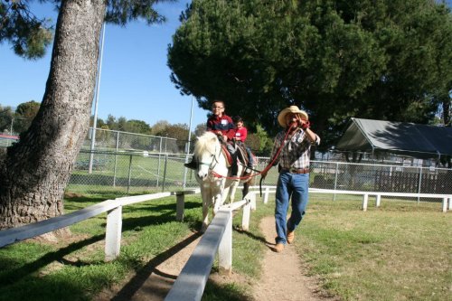 A person leads a pony with a child riding it along a path in a park, surrounded by trees and a fence.