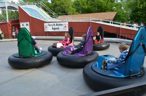 A group of children enjoying bumper cars at an amusement park, surrounded by greenery and colorful ride structures.