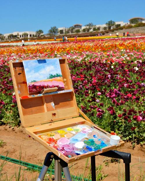 An easel with a colorful painting in front of a vibrant flower field under a clear blue sky.