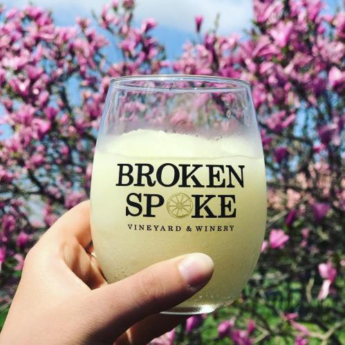 A hand holding a glass of drink with "Broken Spoke Vineyard & Winery" logo, surrounded by blooming pink flowers.