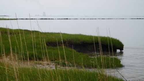 A serene coastal scene with tall grass along the water's edge and a distant power plant visible on the horizon.