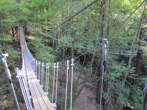A wooden suspension bridge stretches through a lush green forest, surrounded by tall trees and natural scenery.