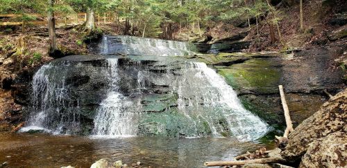 A serene waterfall cascading over moss-covered rocks, surrounded by lush greenery and a calm pool below.