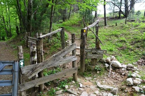 A rustic wooden gate marks the entrance to the Bluff Mountain Trail, surrounded by lush greenery and a dirt path.