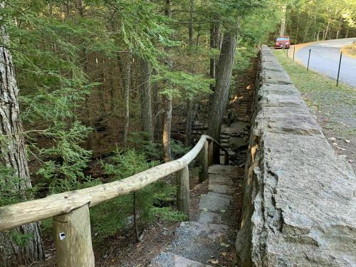 A wooden railing along stone steps leading down into a wooded area beside a road. Trees surround the path.
