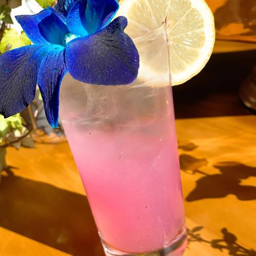 A refreshing pink drink garnished with a blue flower and a lemon slice, set against a wooden background.