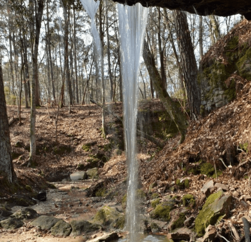 A serene waterfall cascading over rocks in a wooded area, surrounded by trees and fallen leaves.
