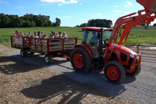 A tractor pulls a red wagon filled with people along a gravel path in a green, rural landscape.