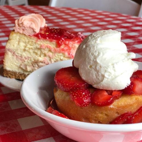 A bowl of strawberry shortcake topped with whipped cream, alongside a slice of cheesecake with strawberry topping.