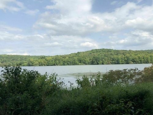 A serene lake surrounded by lush green trees under a partly cloudy sky.