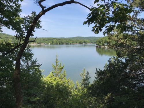 A serene lake surrounded by lush greenery and trees under a clear blue sky.