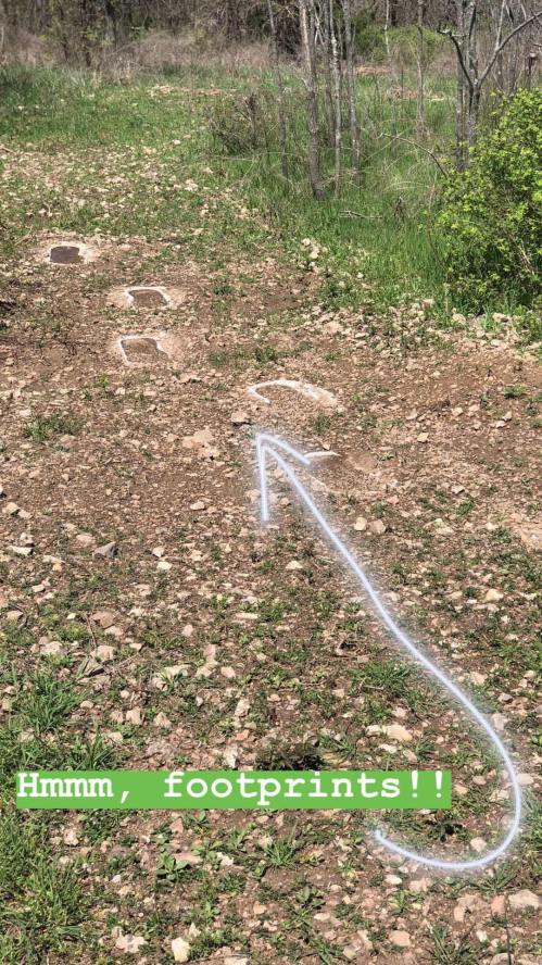 Footprints on a dirt path surrounded by greenery, with a playful arrow pointing to them.