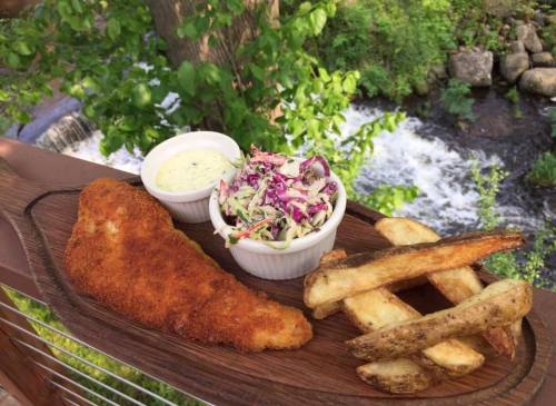A plate of crispy fried fish, coleslaw, and fries, set against a scenic backdrop of a flowing stream and greenery.